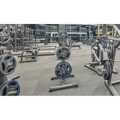 Support de rangement pour plaques de poids vertical - Evolve Fitness TR-266 Rack