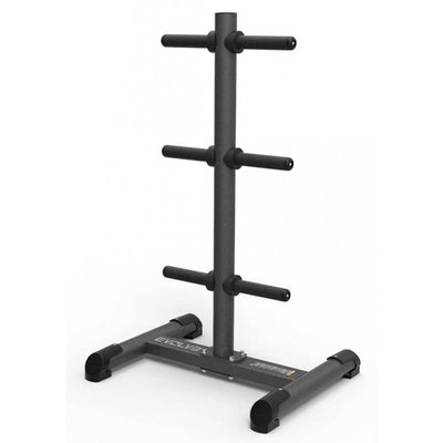 Support de rangement pour plaques de poids vertical - Evolve Fitness TR-266 Rack