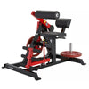 Ab Crunch & Back Extension Machine (Multifunctioneel) - Plate Loaded - Steelflex PL2400-BR