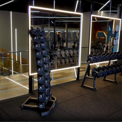 Verticaal dumbbell opslagrek - Evolve Fitness VR-100