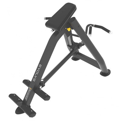 T-Row Machine - Plate Loaded - Evolve Fitness PR-231