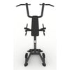 Power Tower Dip & Pull Station - Evolve Fitness PR-219