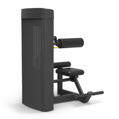 Ab Machine - Steekgewichten - Spirit Fitness SP-4309