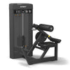 Back Extension Machine - Steekgewichten - Spirit Fitness SP-4310