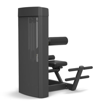 Back Extension Machine - Steekgewichten - Spirit Fitness SP-4310