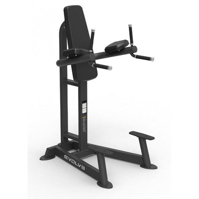 Dip Station - Evolve Fitness PR-215 Dip- & Pull-up Station